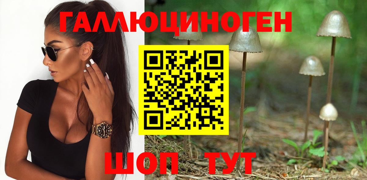 Галлюциногенные грибы мицелий Добрянка