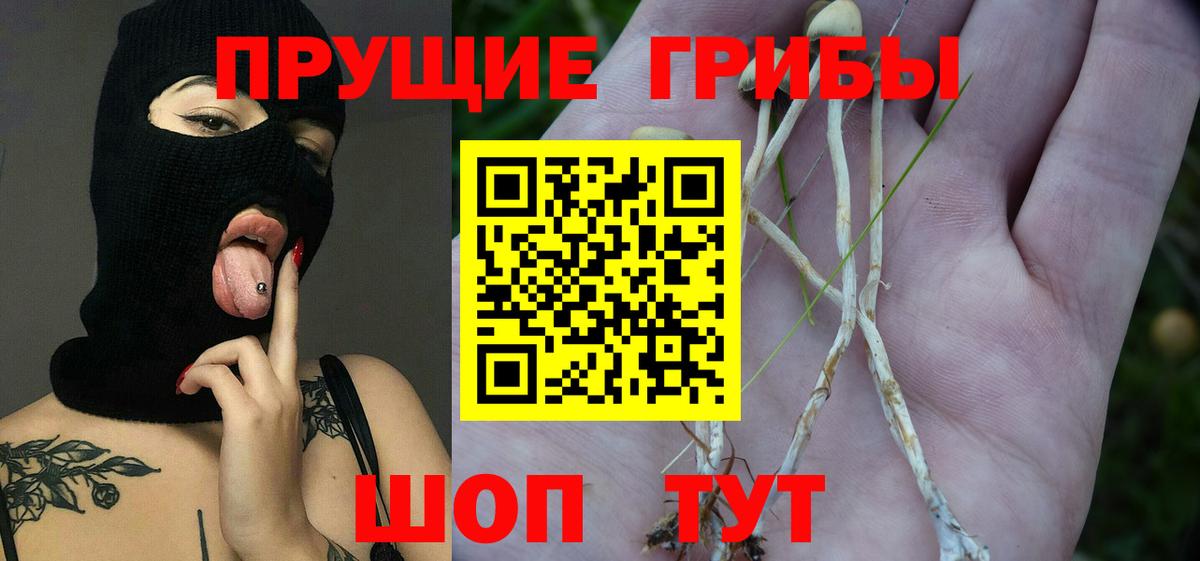 Псилоцибиновые грибы мухоморы  Галлюциногенные грибы прущие грибы  Добрянка  Вход с VPN 